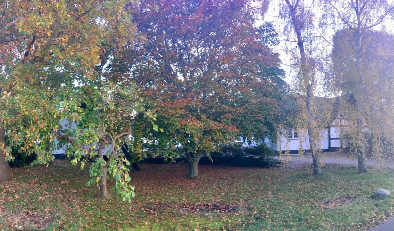 Hvidegaard Mon Hotel สไต ภายนอก รูปภาพ